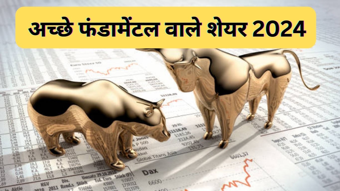 अच्छे फंडामेंटल वाले शेयर 2024 | Fundamentally strong stocks