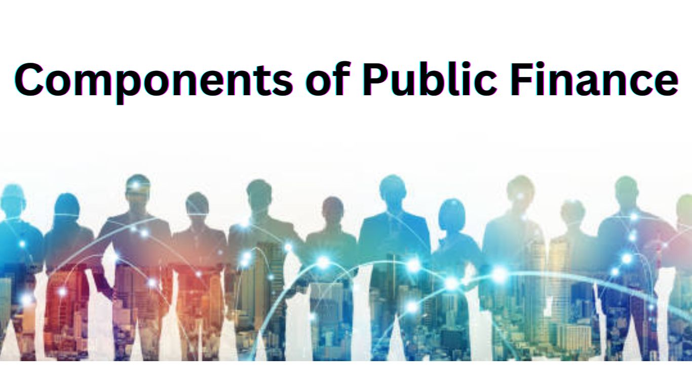 Understanding Public Finance: An In-Depth Exploration